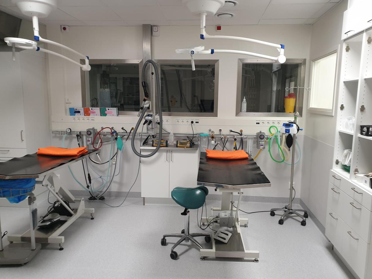 Renoverad förberedelse i befintliga lokaler